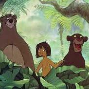 Team Page: Mowgli